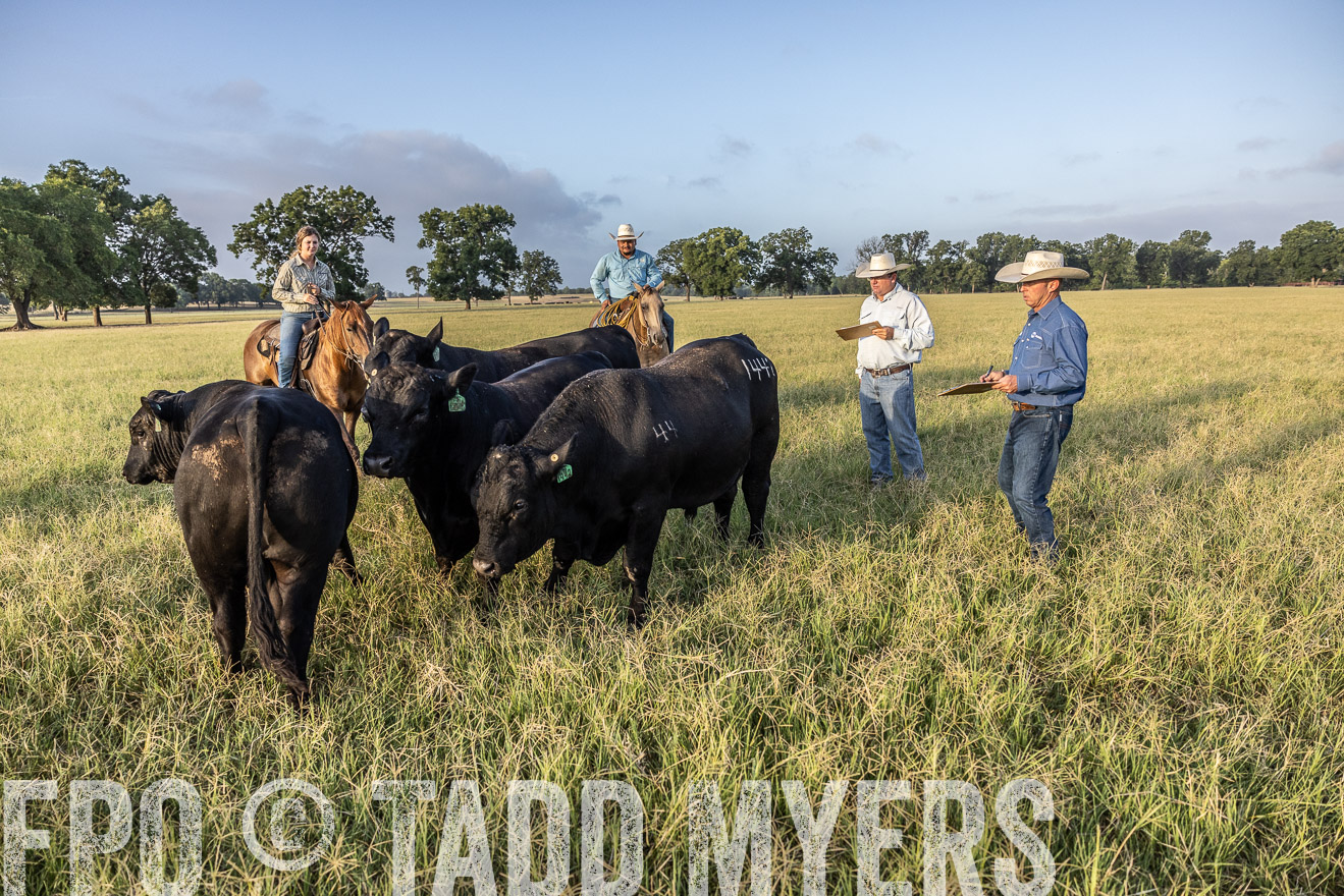 TMyers_44Farms_CameronTX_July2022--522724