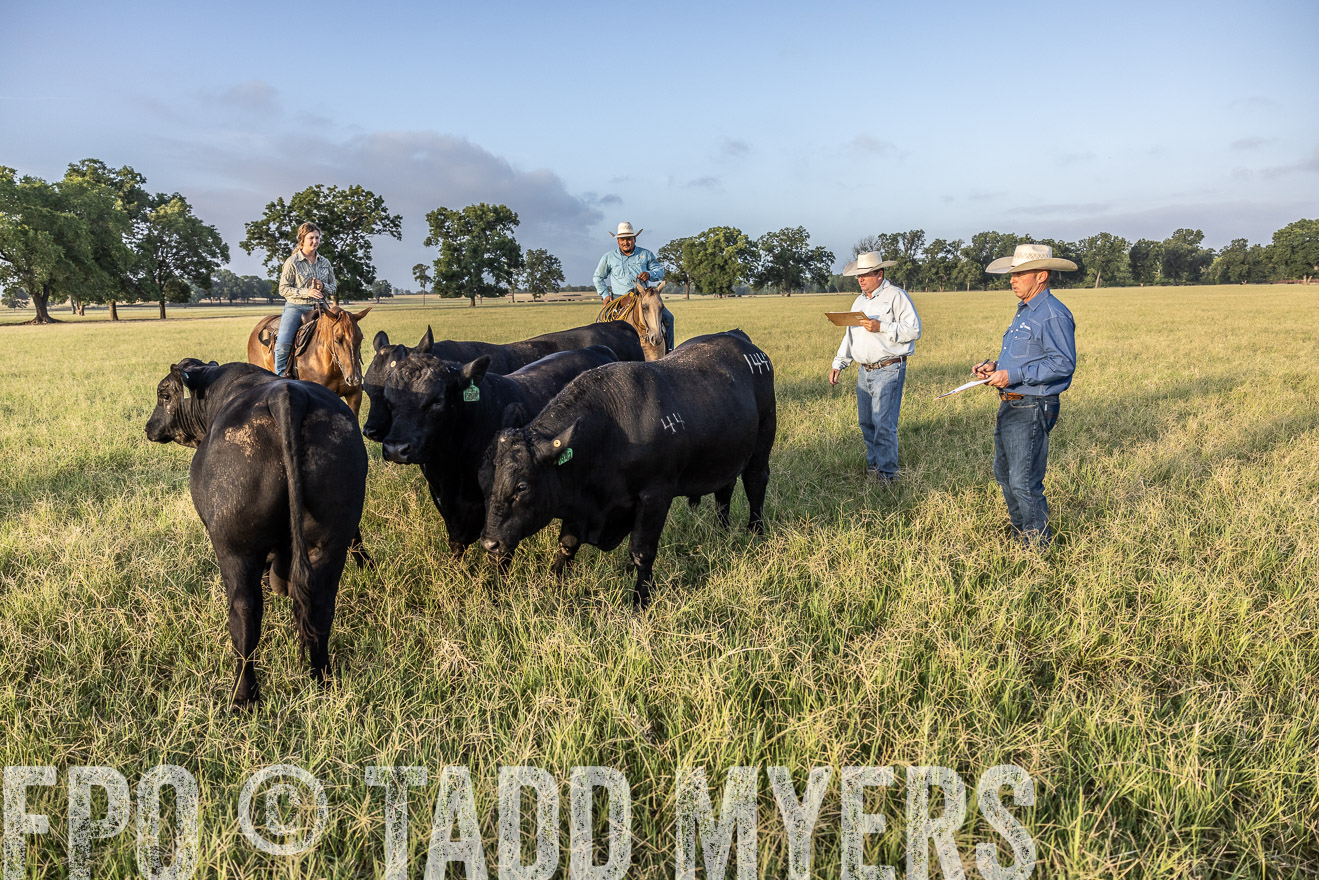 TMyers_44Farms_CameronTX_July2022--522726