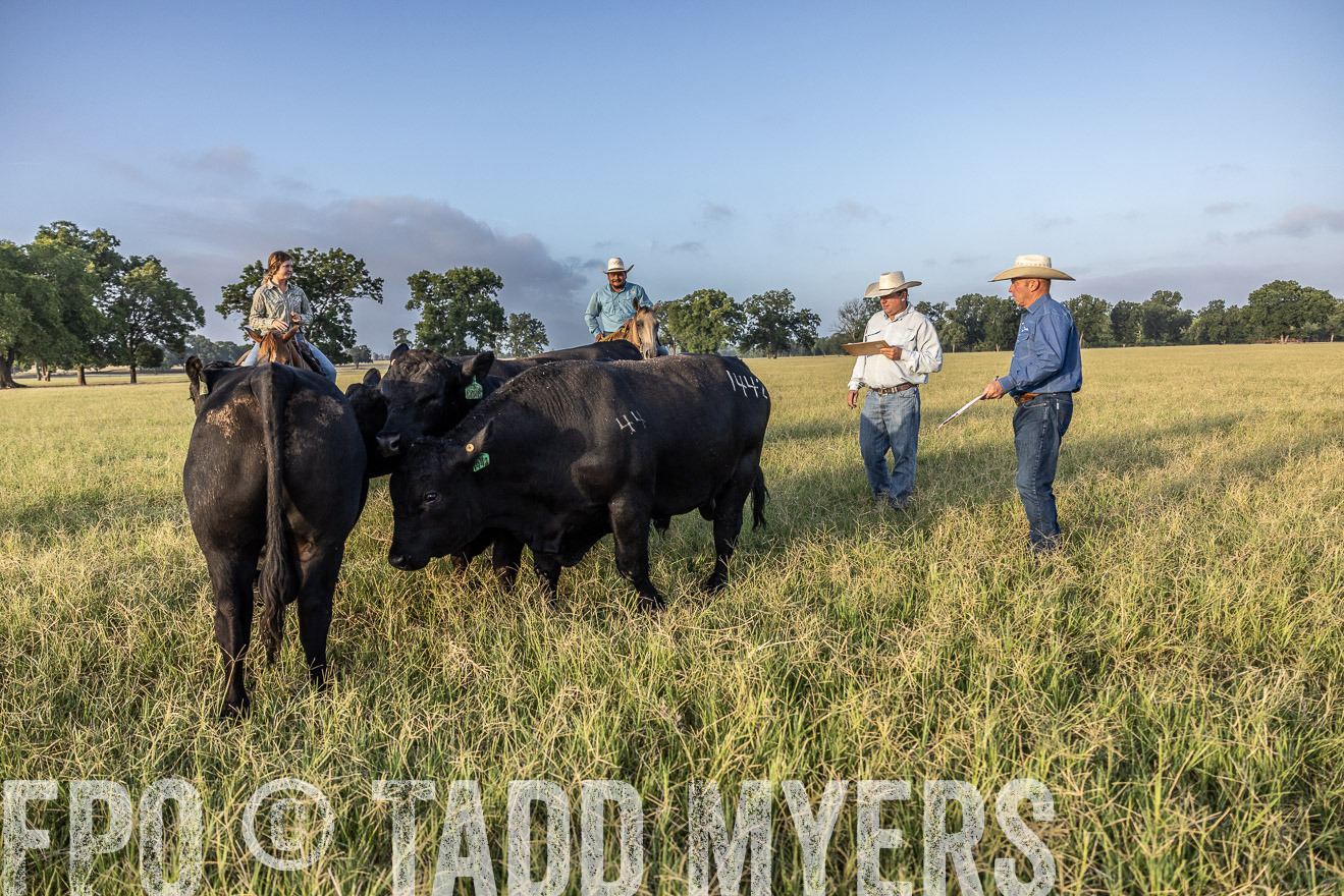 TMyers_44Farms_CameronTX_July2022--522729