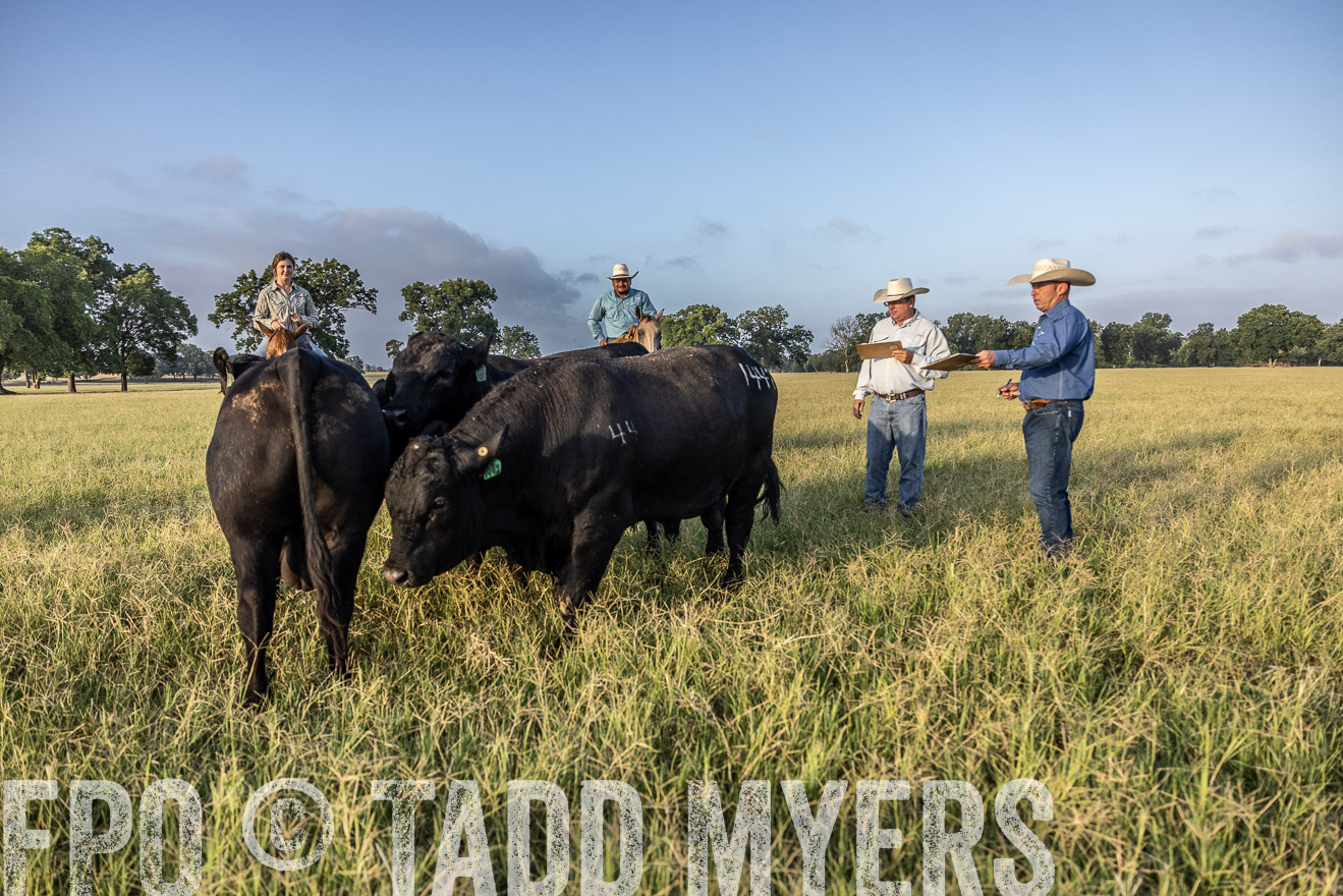 TMyers_44Farms_CameronTX_July2022--522731