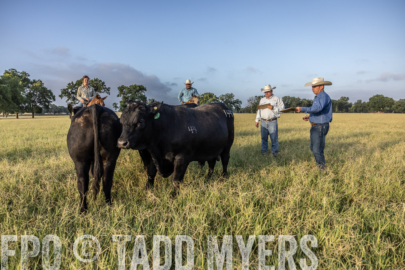 TMyers_44Farms_CameronTX_July2022--522733