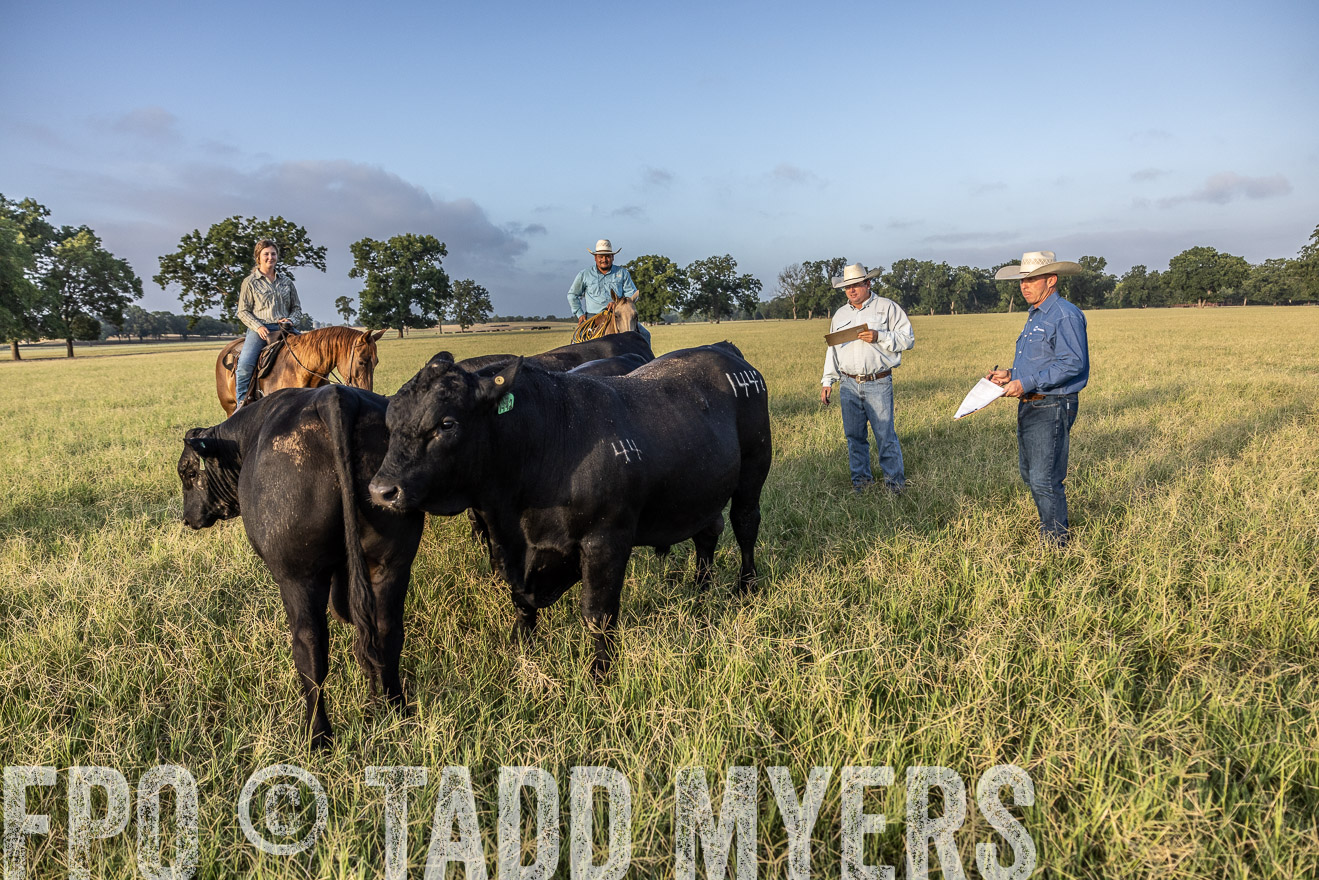 TMyers_44Farms_CameronTX_July2022--522736