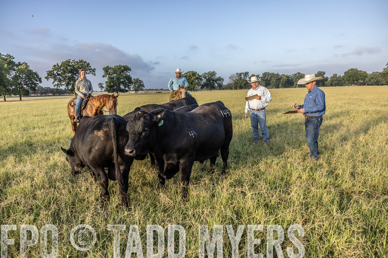 TMyers_44Farms_CameronTX_July2022--522739