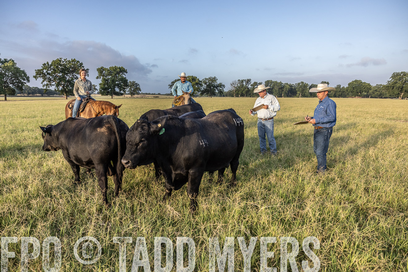 TMyers_44Farms_CameronTX_July2022--522746