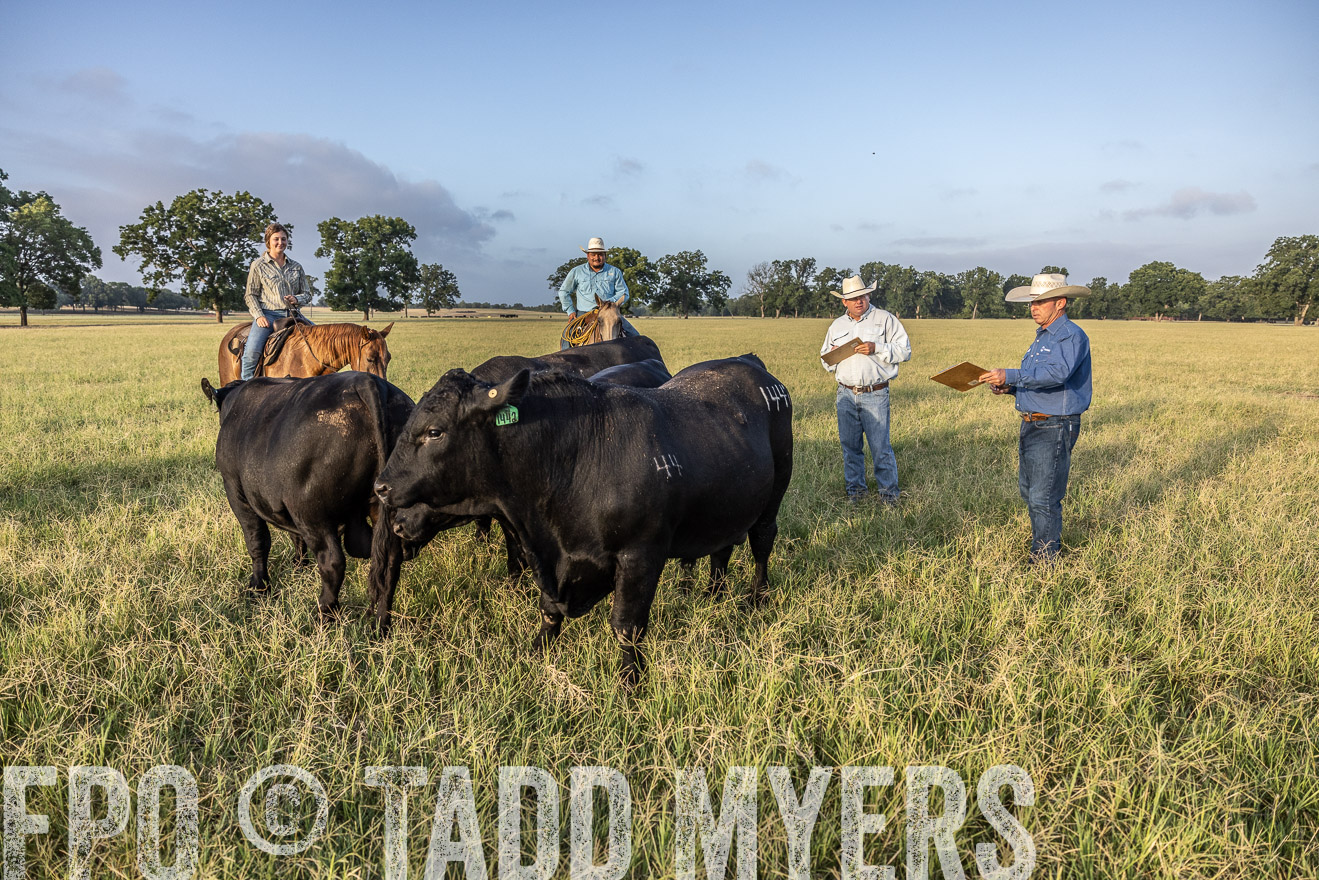 TMyers_44Farms_CameronTX_July2022--522748