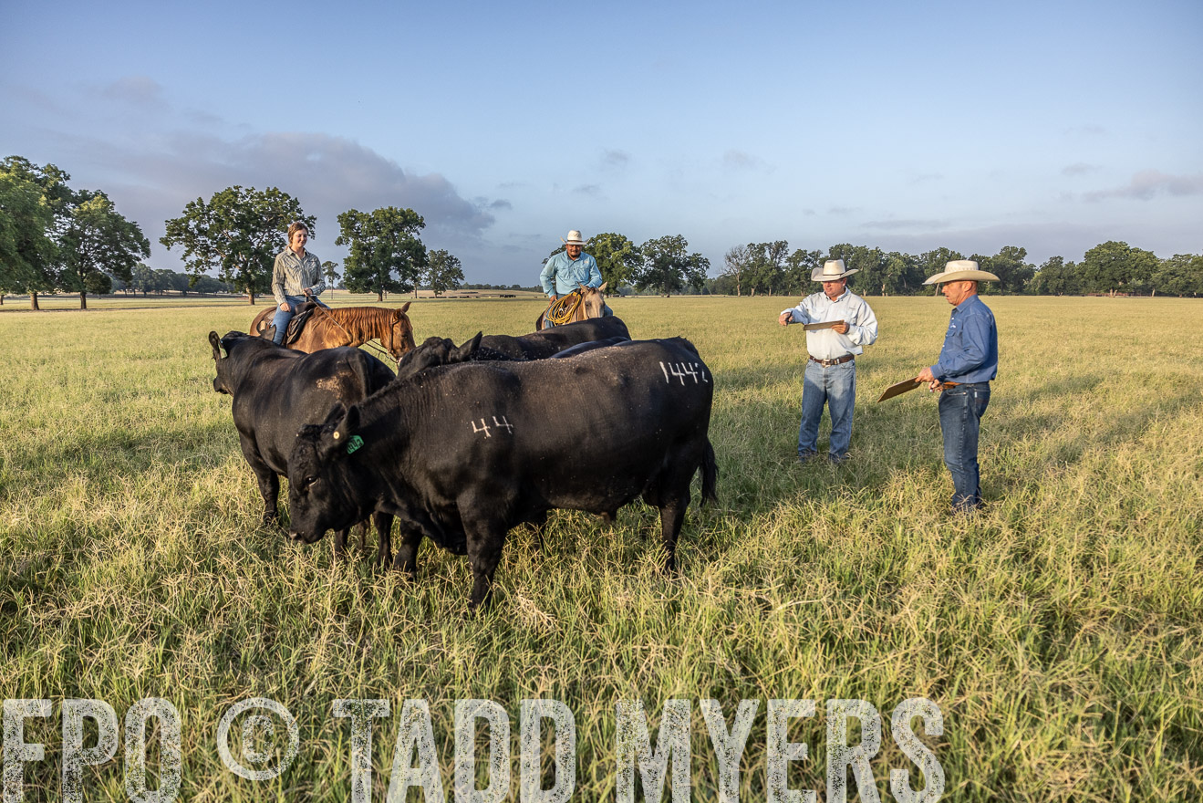 TMyers_44Farms_CameronTX_July2022--522752