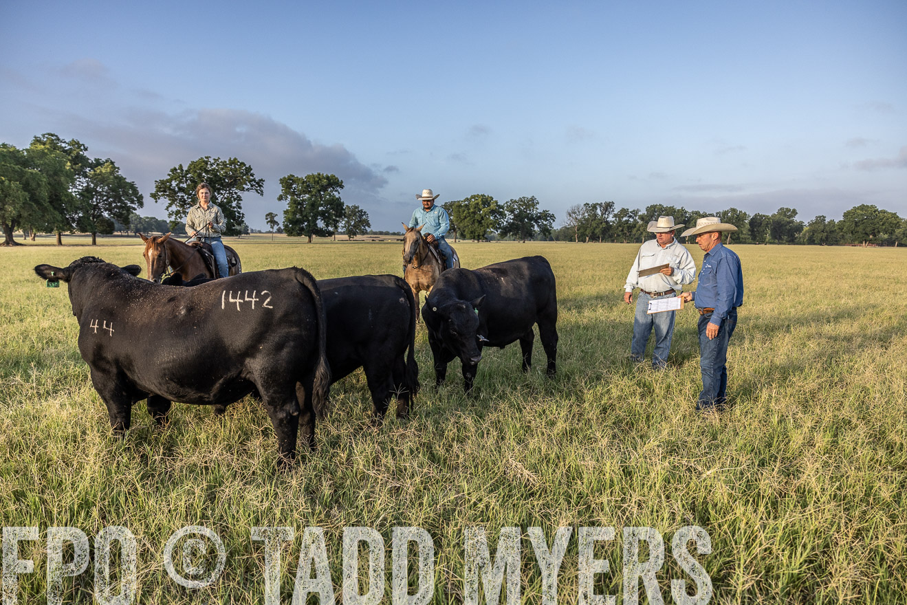 TMyers_44Farms_CameronTX_July2022--522759