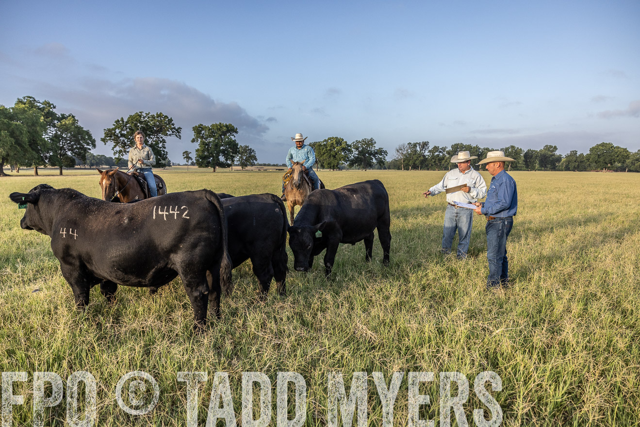 TMyers_44Farms_CameronTX_July2022--522761