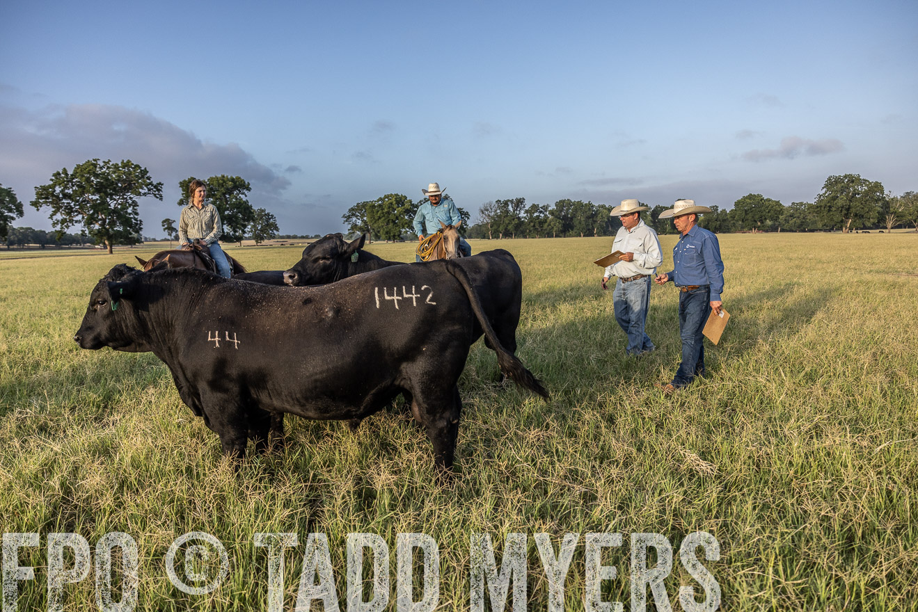 TMyers_44Farms_CameronTX_July2022--522762