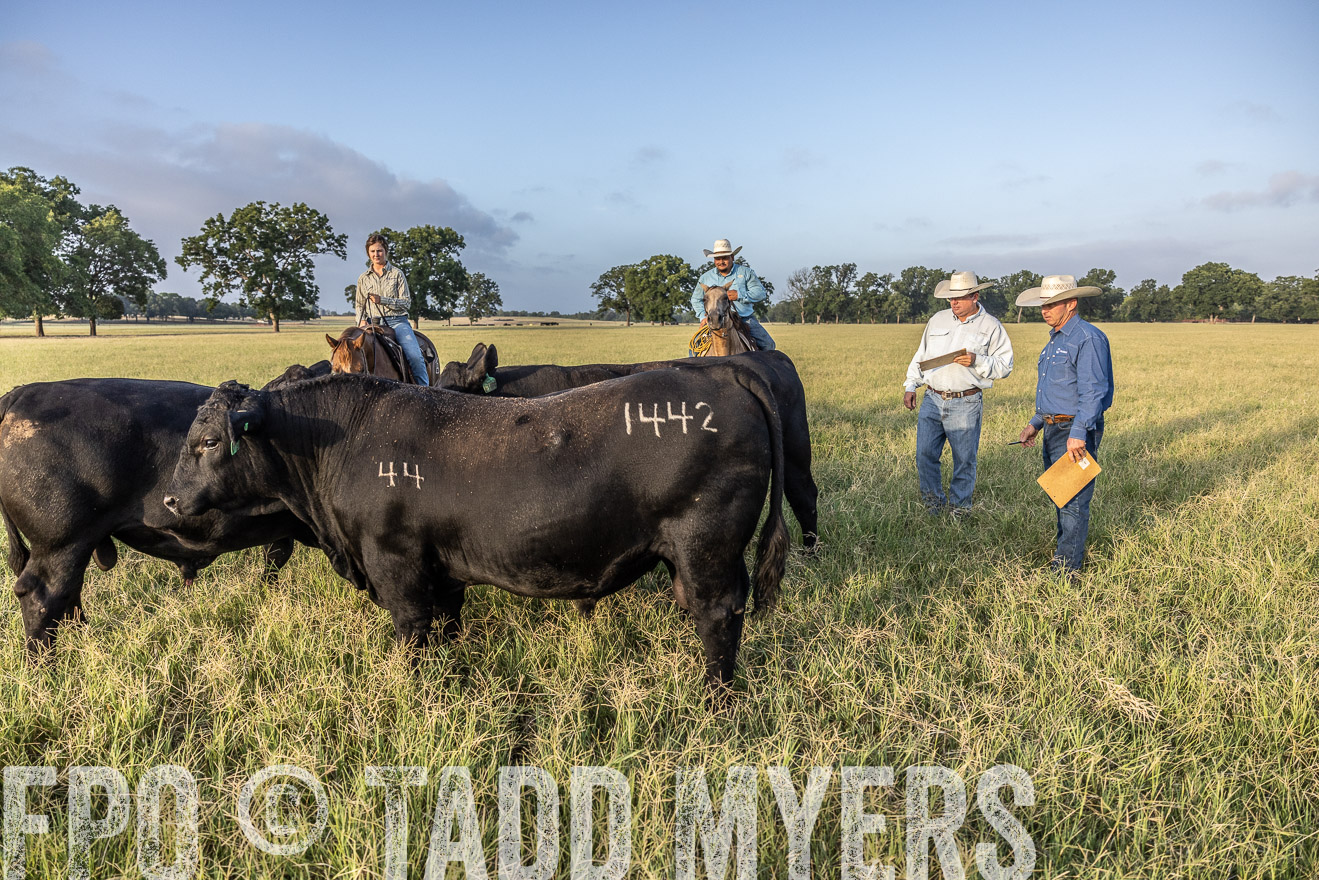 TMyers_44Farms_CameronTX_July2022--522766