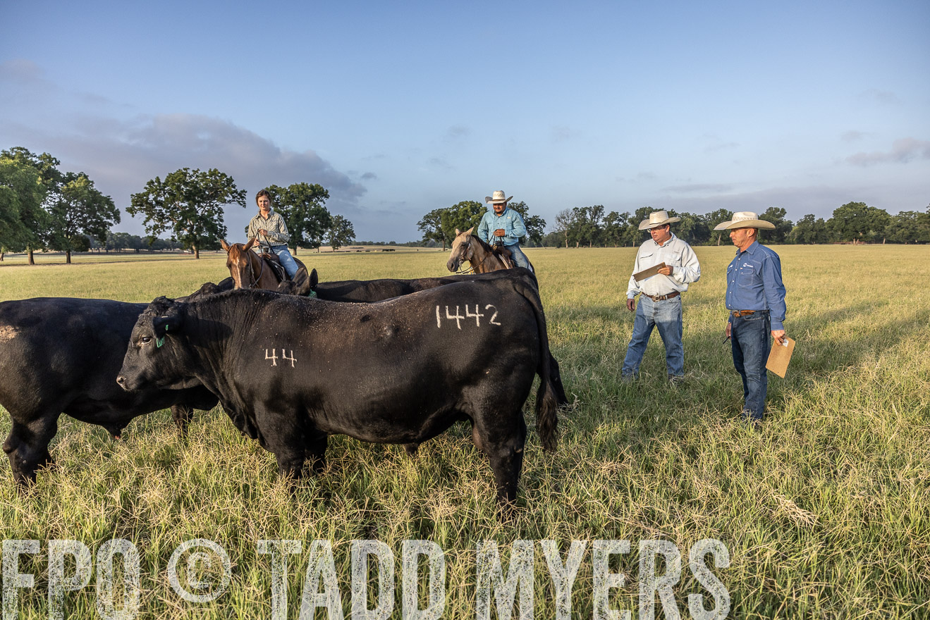 TMyers_44Farms_CameronTX_July2022--522767