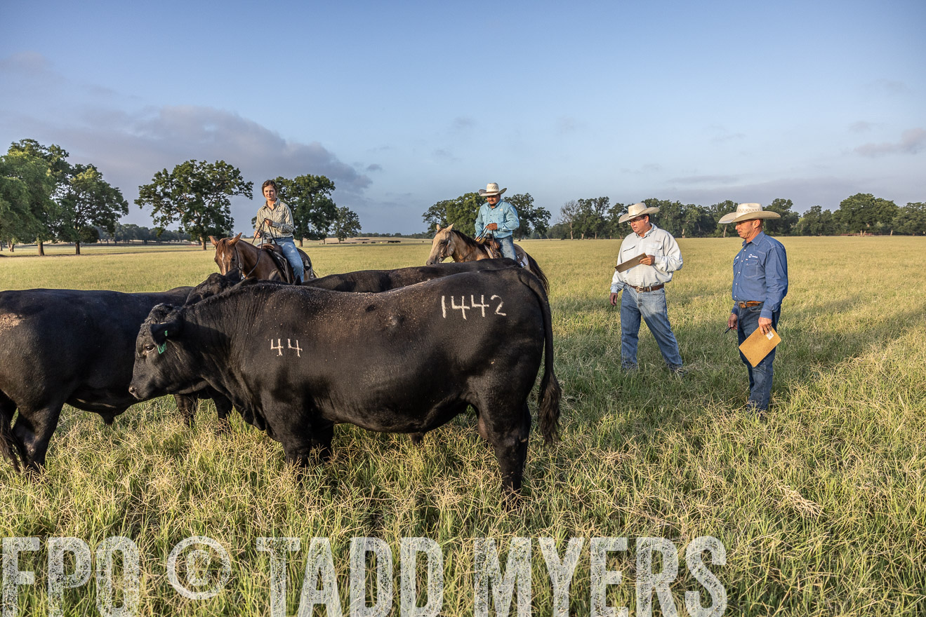 TMyers_44Farms_CameronTX_July2022--522768