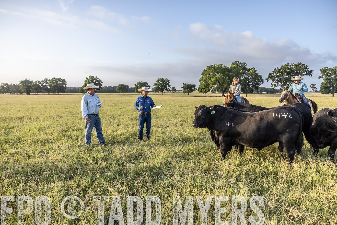 TMyers_44Farms_CameronTX_July2022--522772