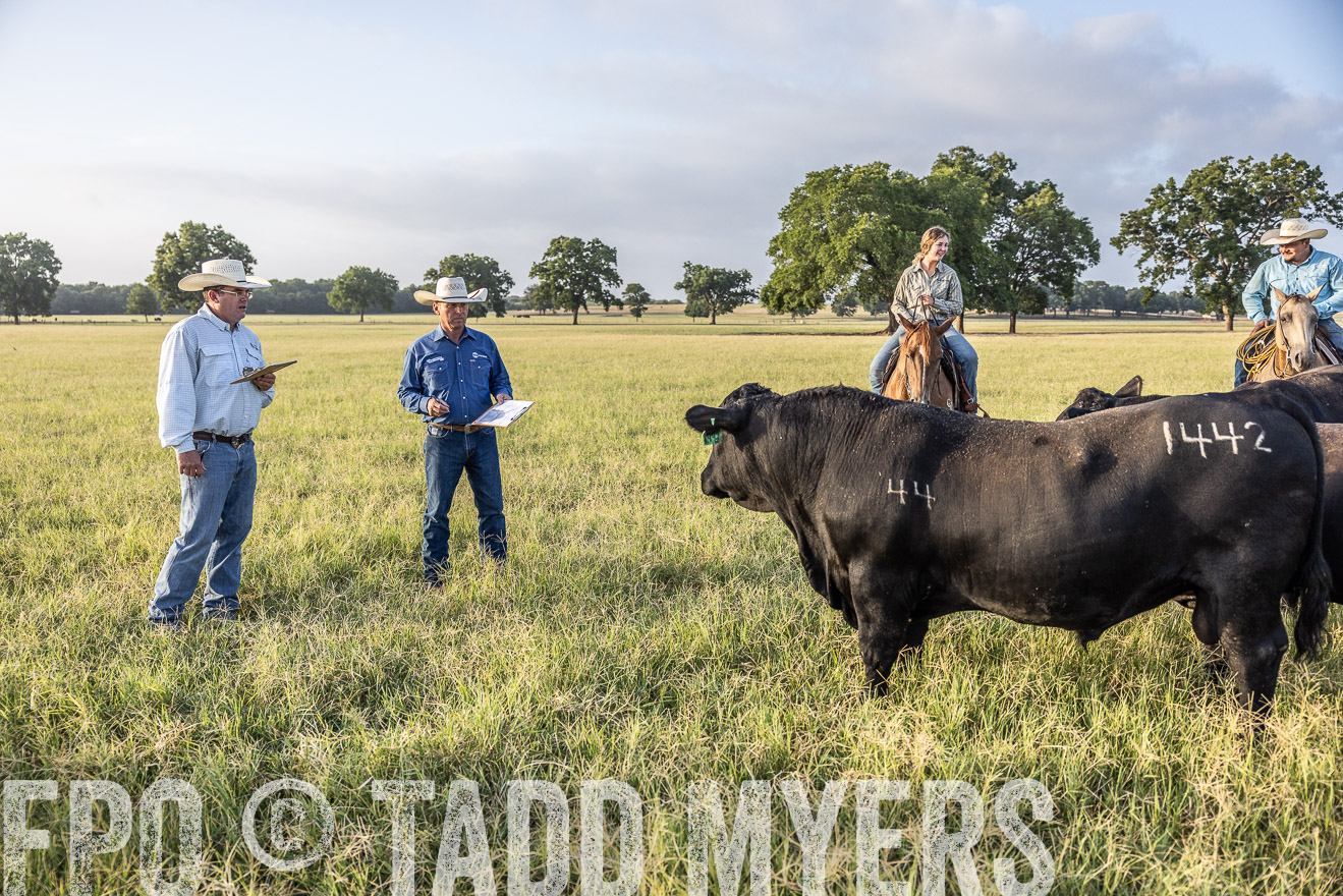 TMyers_44Farms_CameronTX_July2022--522773