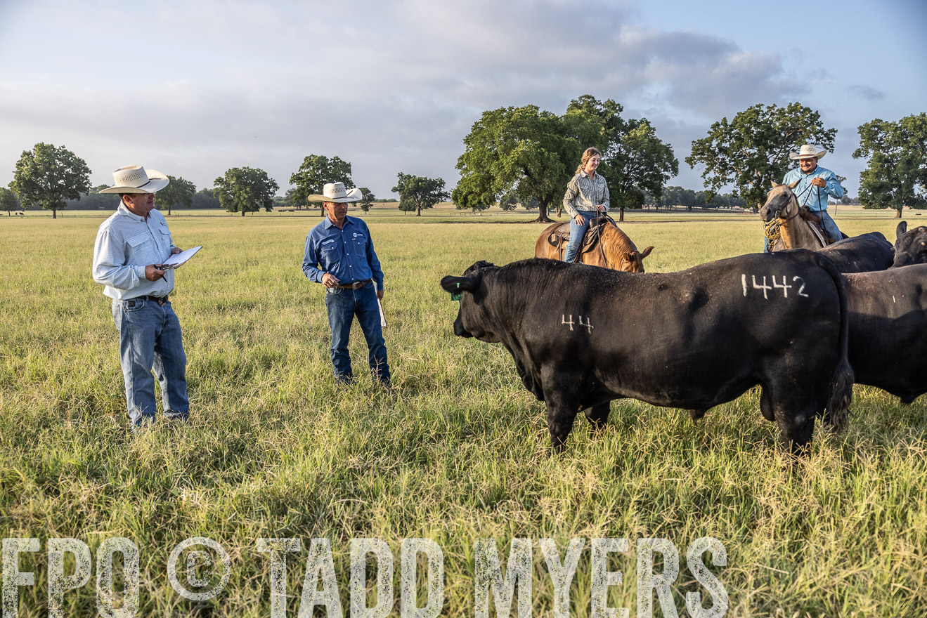 TMyers_44Farms_CameronTX_July2022--522774