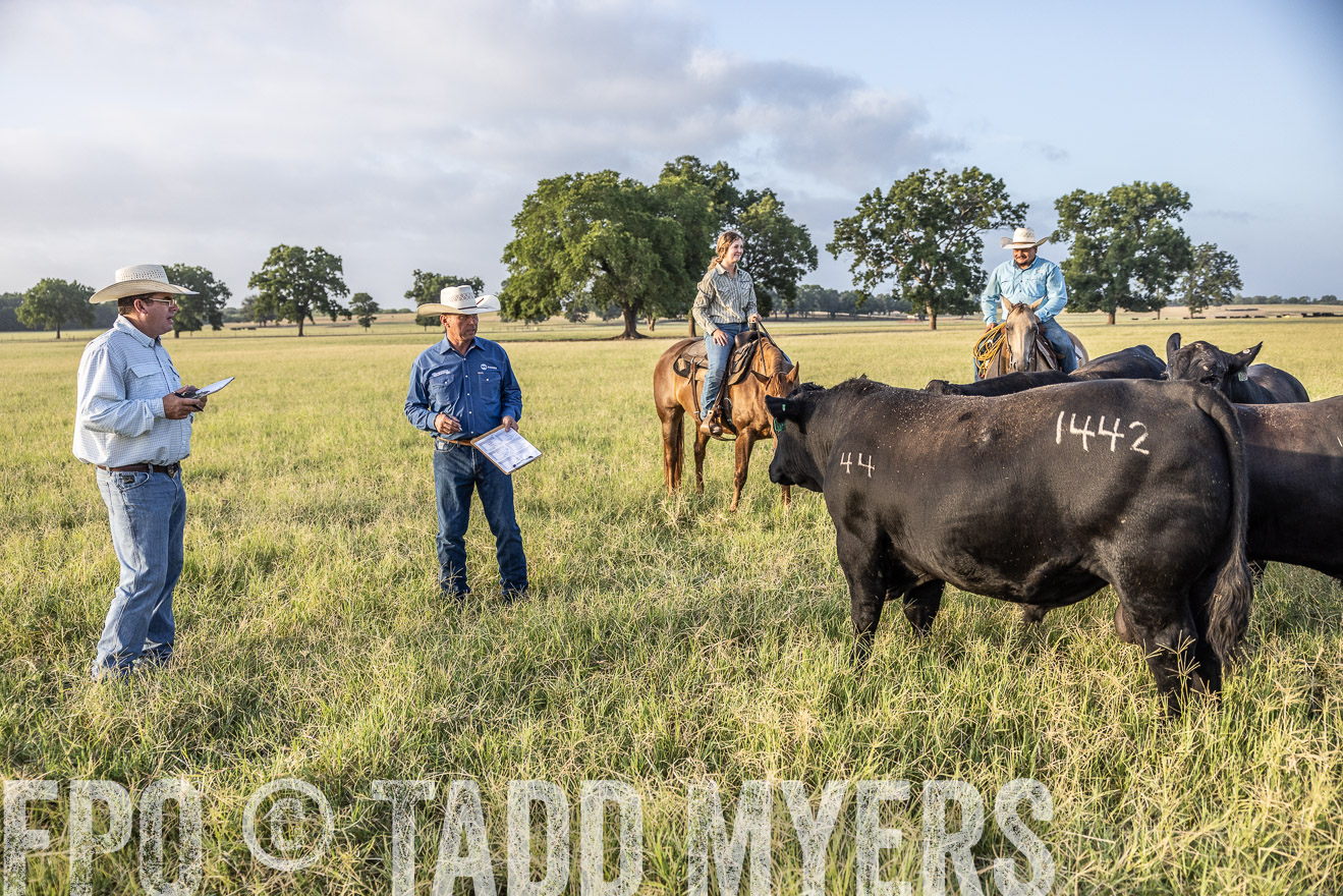 TMyers_44Farms_CameronTX_July2022--522775