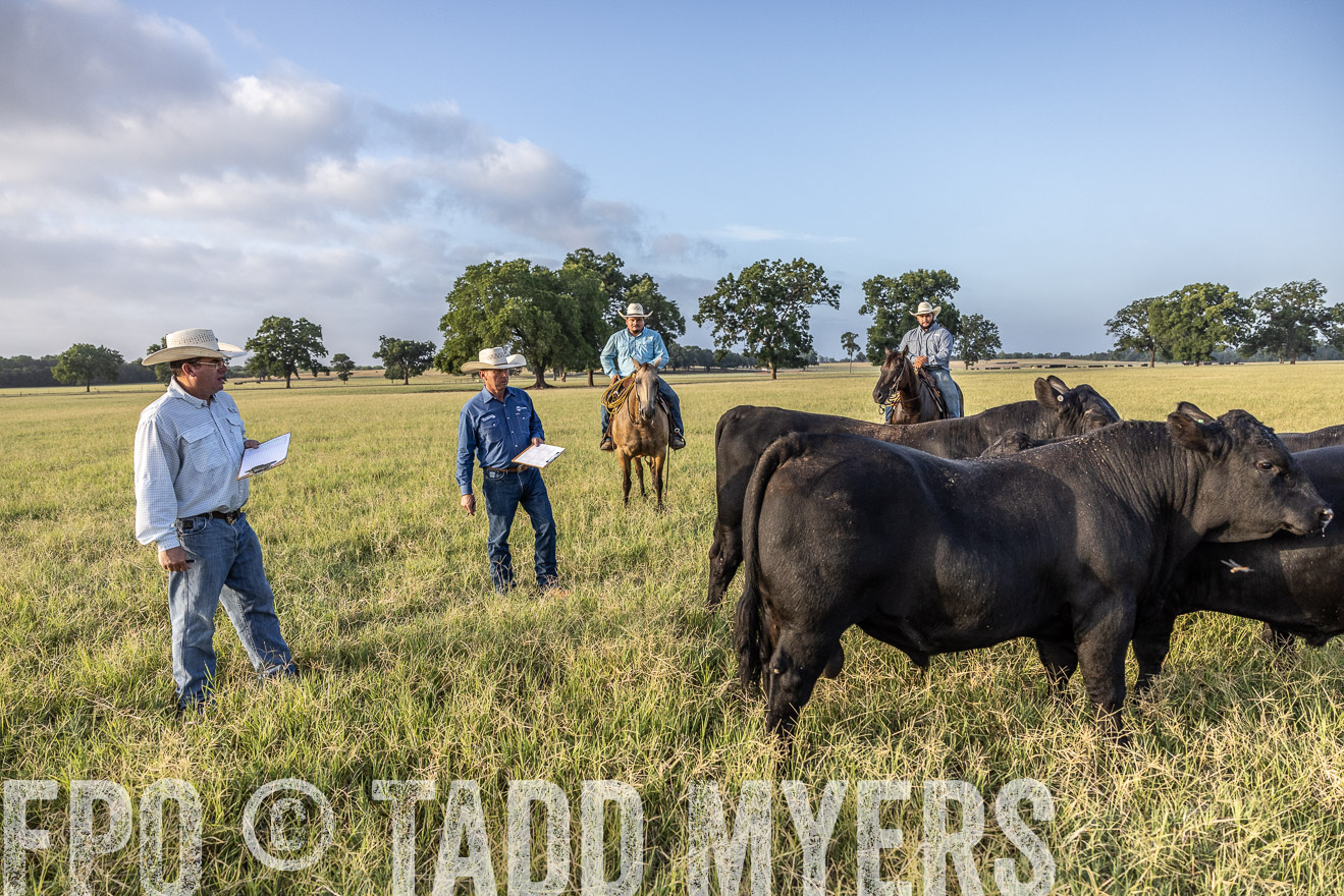 TMyers_44Farms_CameronTX_July2022--522783