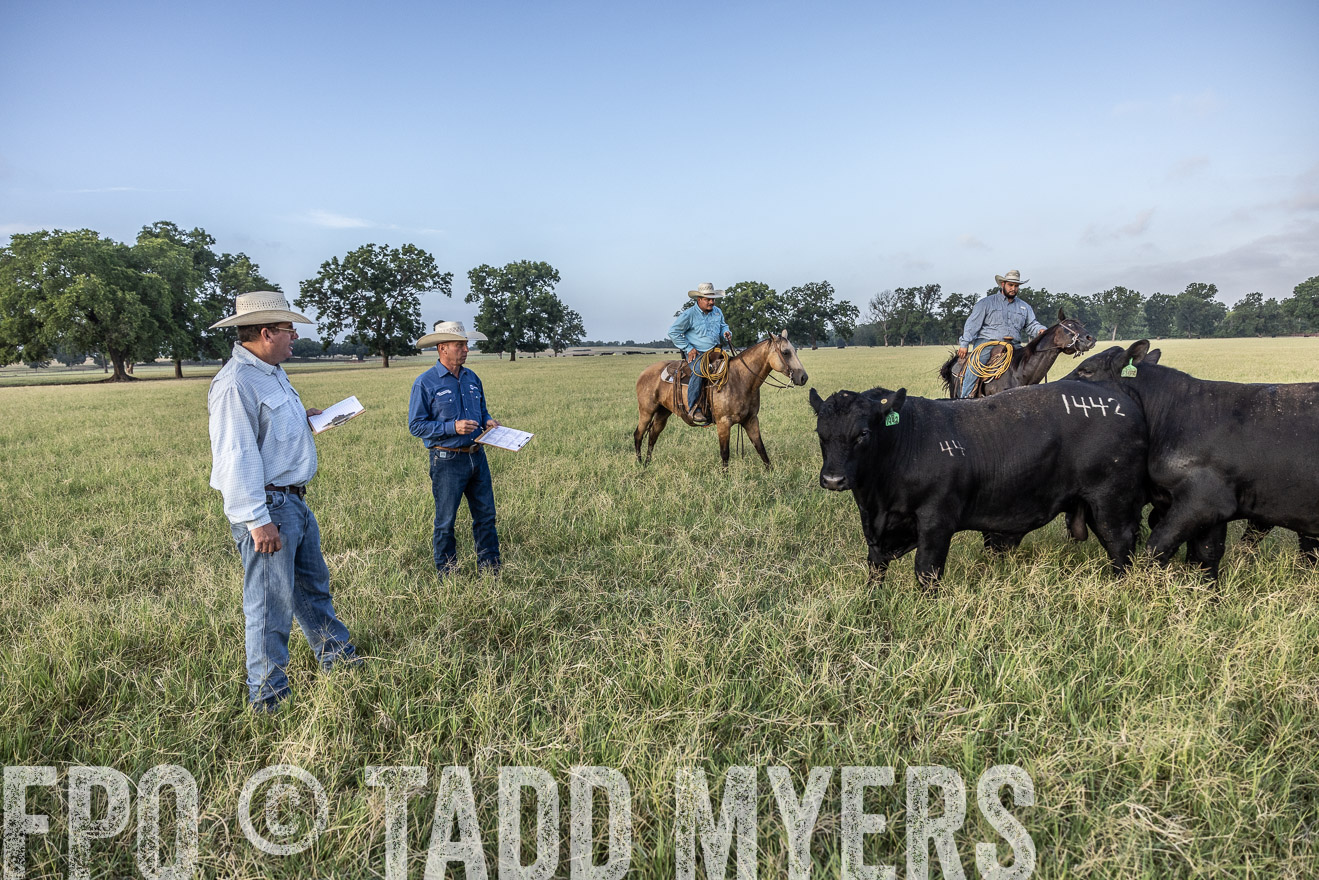 TMyers_44Farms_CameronTX_July2022--522786