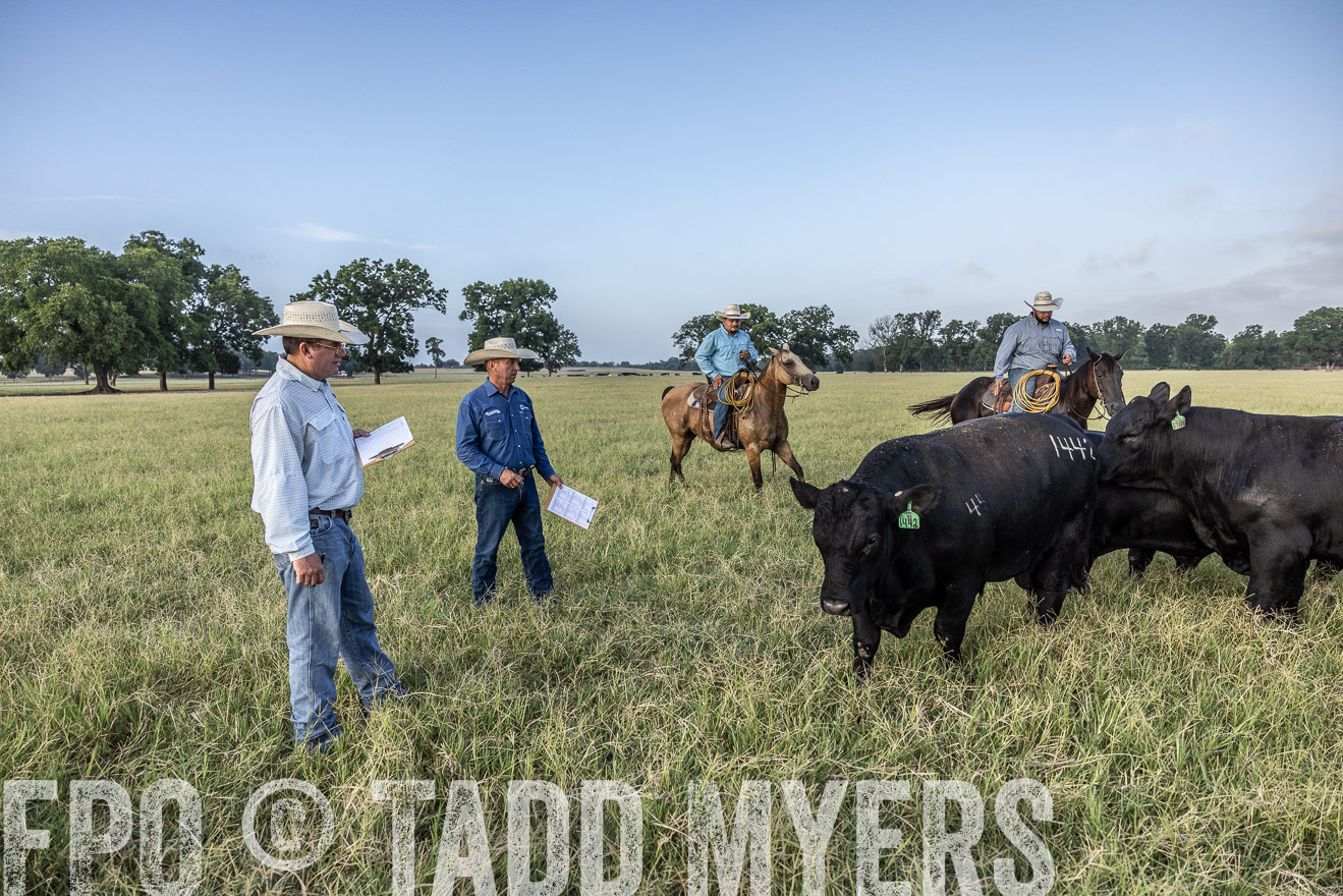 TMyers_44Farms_CameronTX_July2022--522788