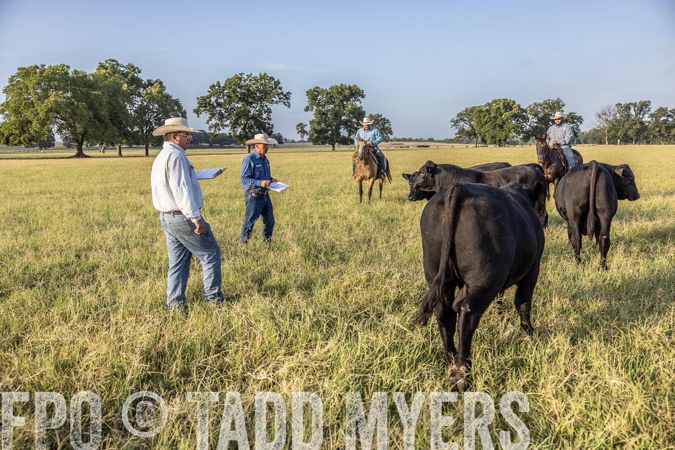 TMyers_44Farms_CameronTX_July2022--522821