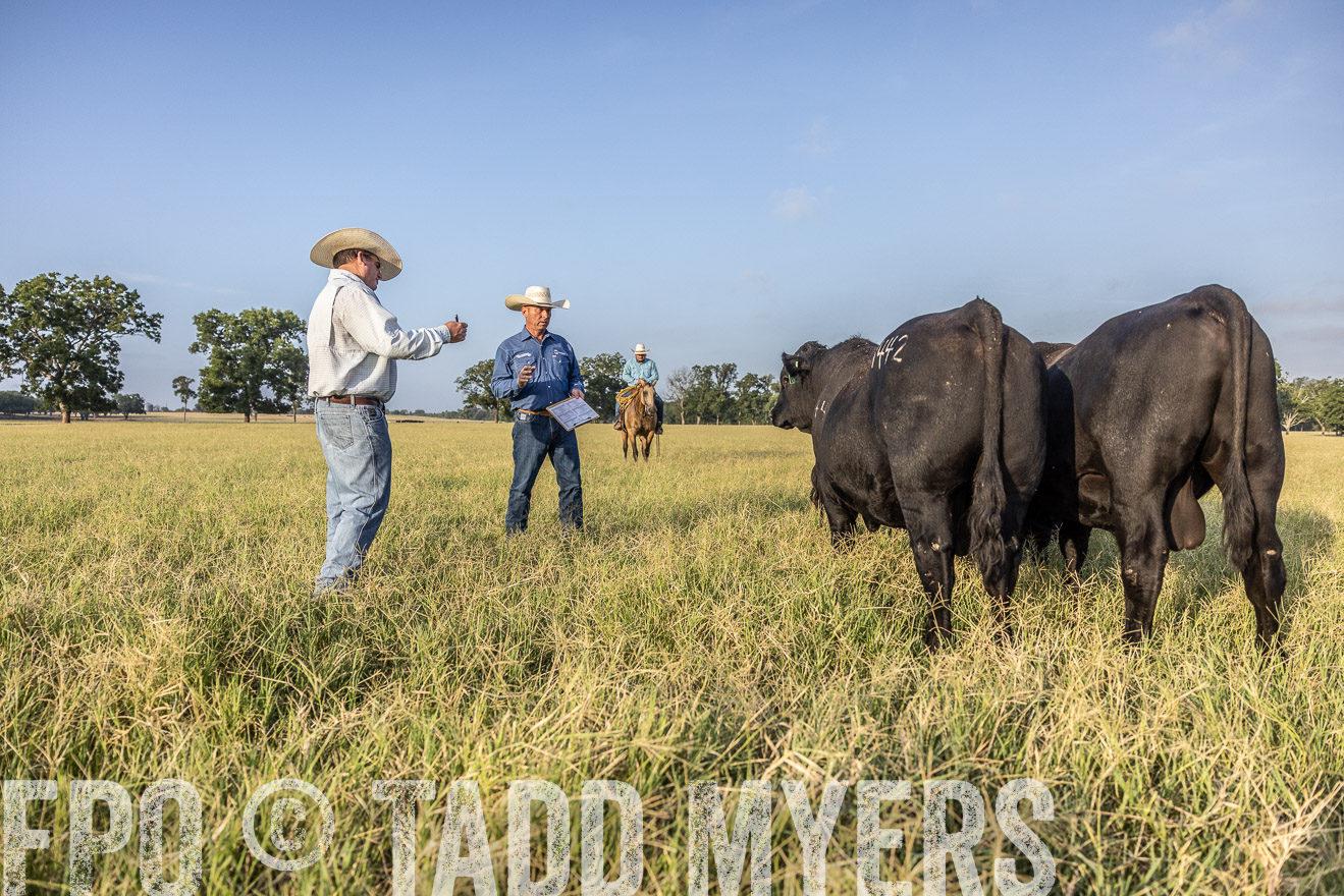 TMyers_44Farms_CameronTX_July2022--522834