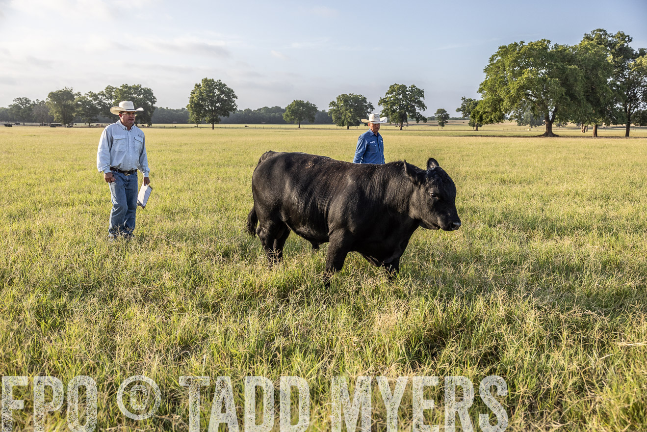 TMyers_44Farms_CameronTX_July2022--522836