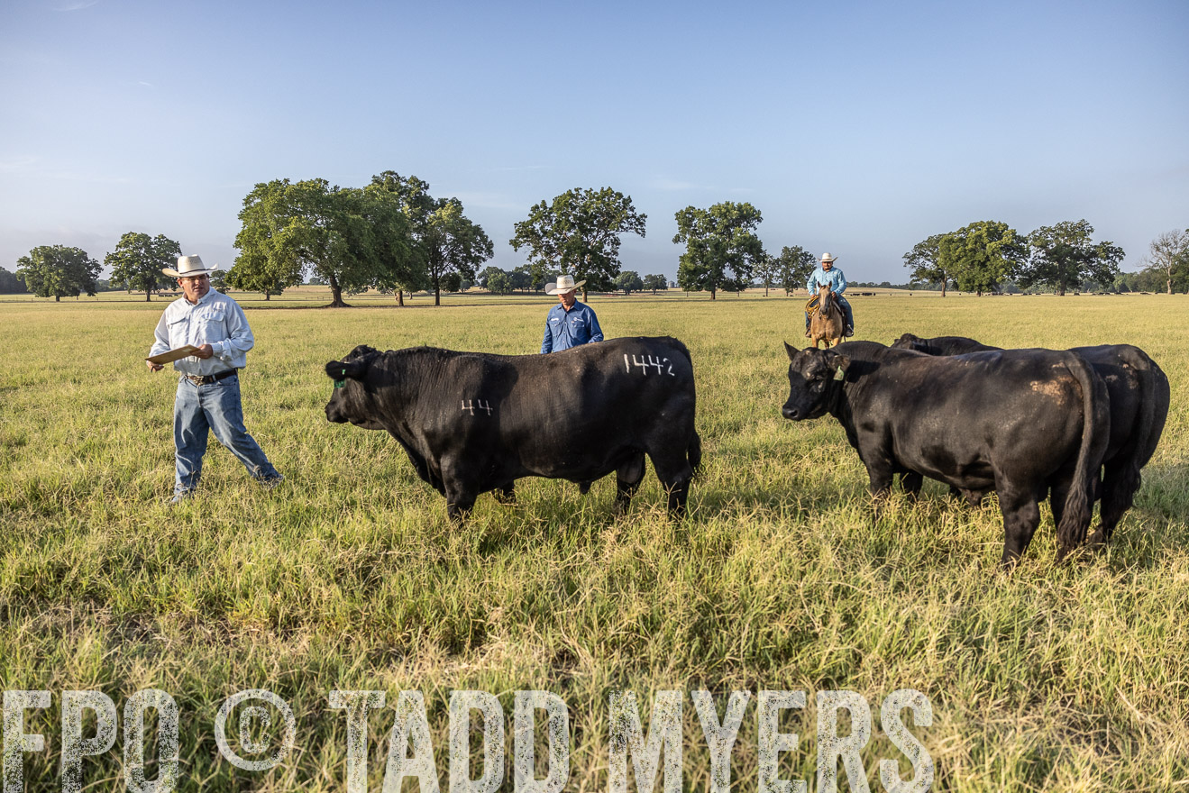 TMyers_44Farms_CameronTX_July2022--522840