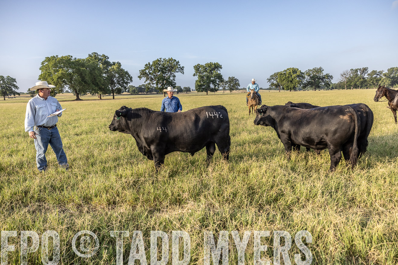 TMyers_44Farms_CameronTX_July2022--522841