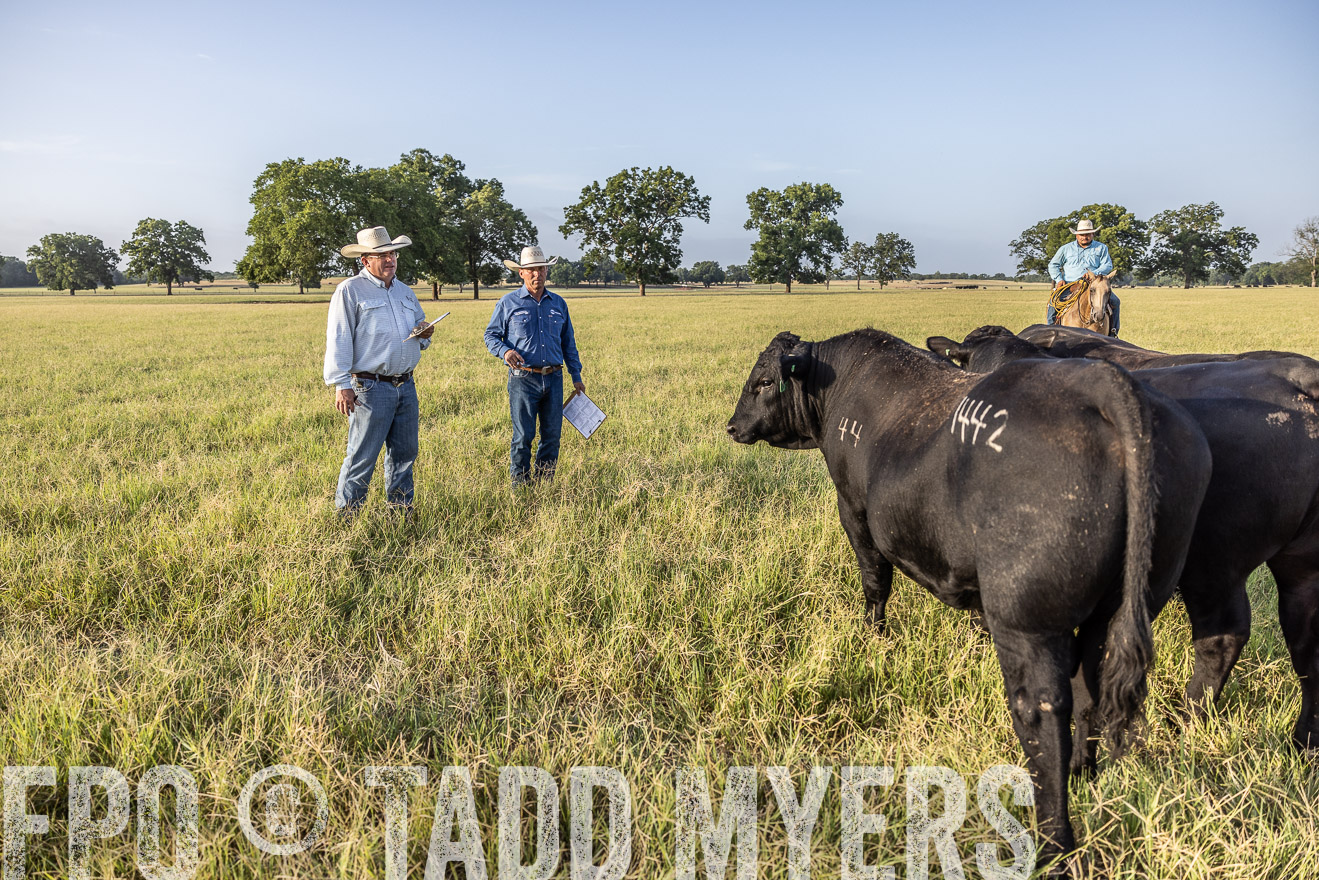 TMyers_44Farms_CameronTX_July2022--522846