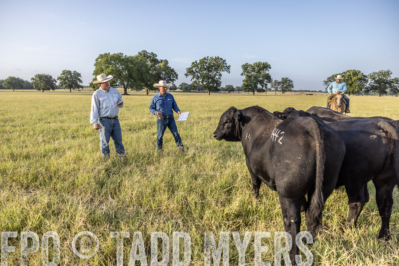 TMyers_44Farms_CameronTX_July2022--522849