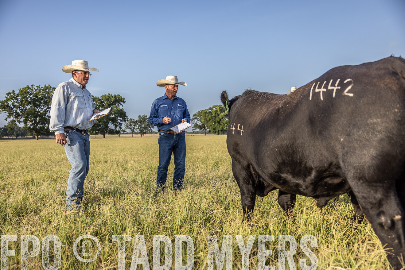 TMyers_44Farms_CameronTX_July2022--522859