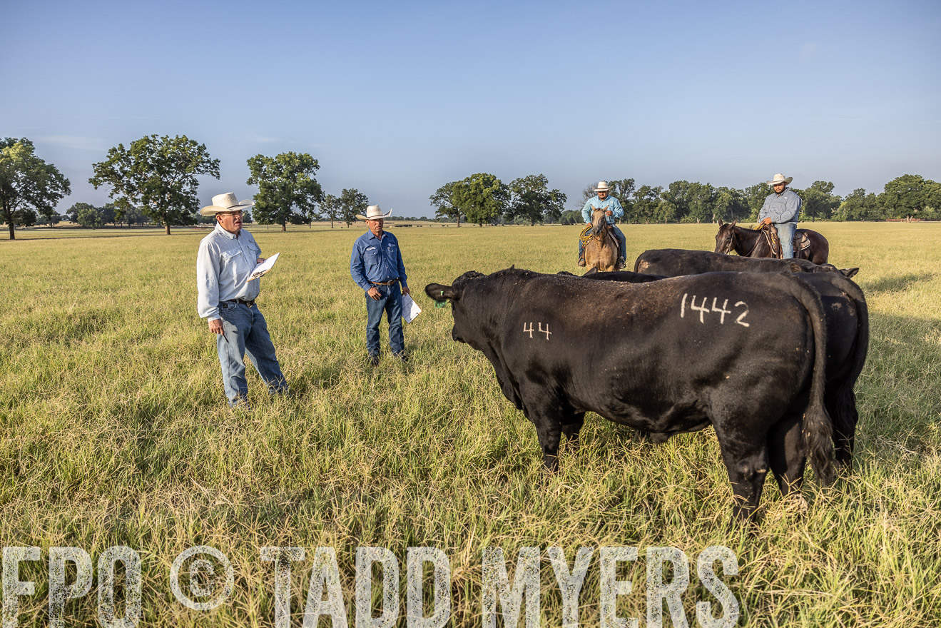 TMyers_44Farms_CameronTX_July2022--522861