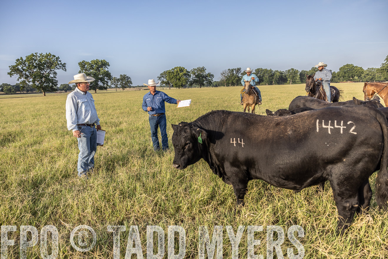 TMyers_44Farms_CameronTX_July2022--522864