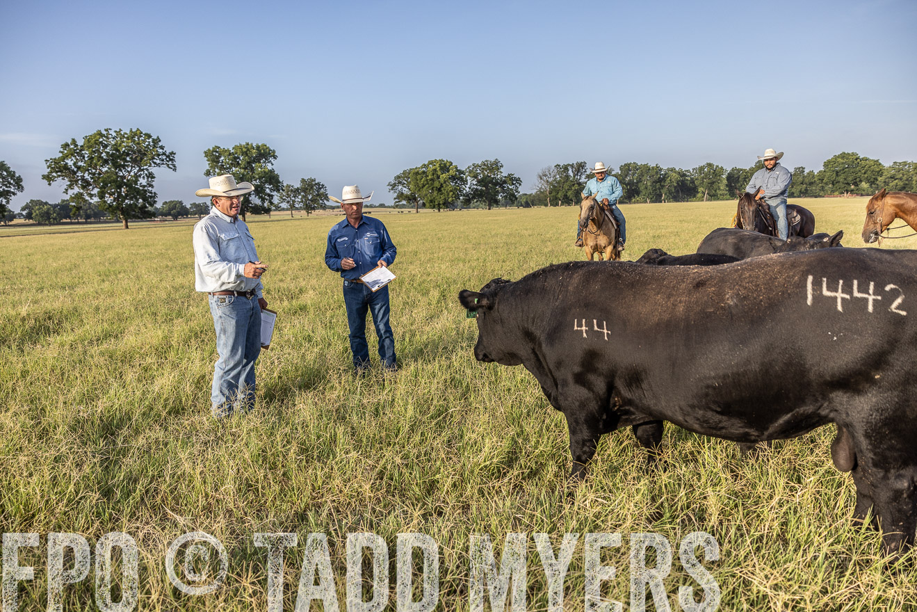TMyers_44Farms_CameronTX_July2022--522865