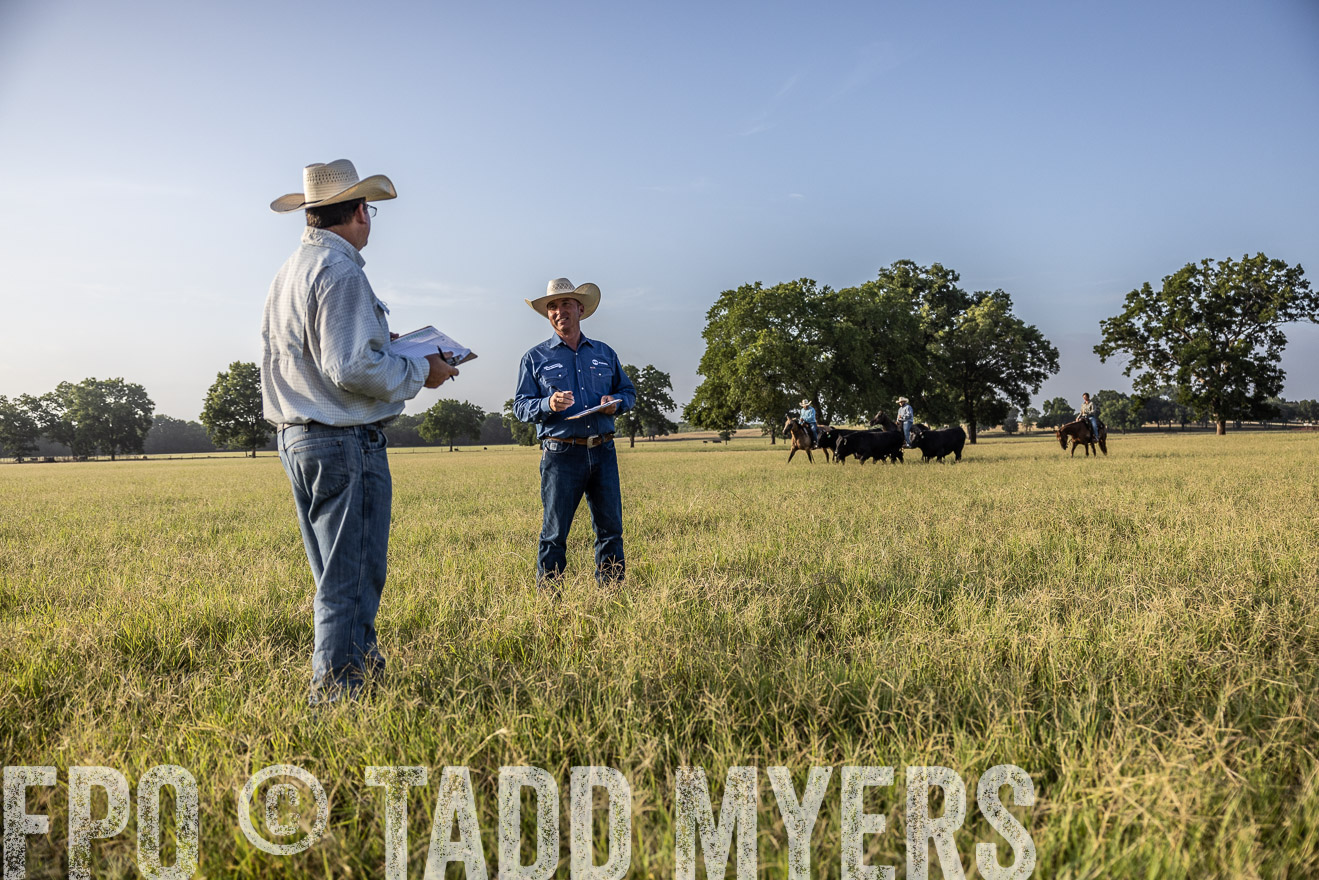 TMyers_44Farms_CameronTX_July2022--522880