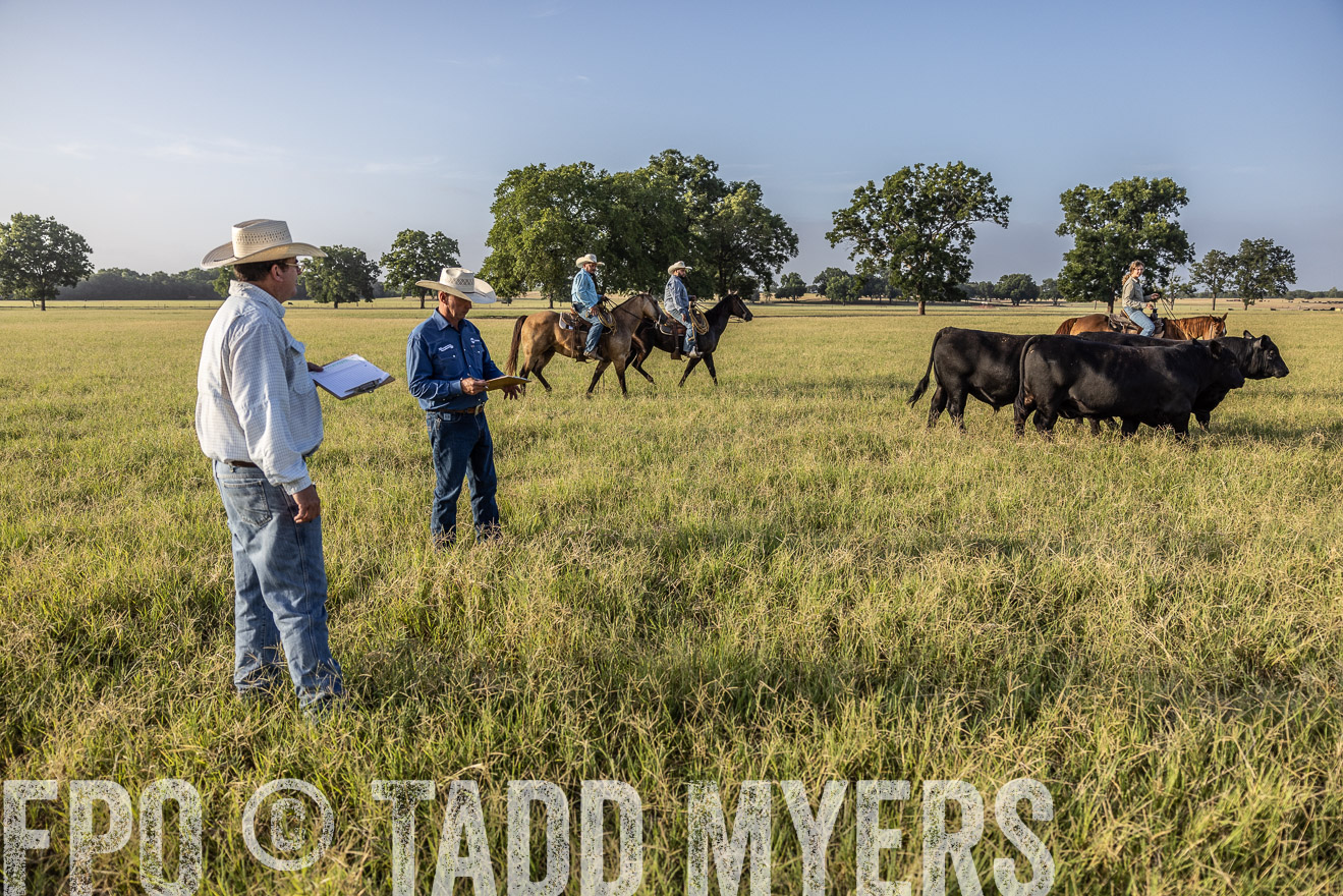 TMyers_44Farms_CameronTX_July2022--522897