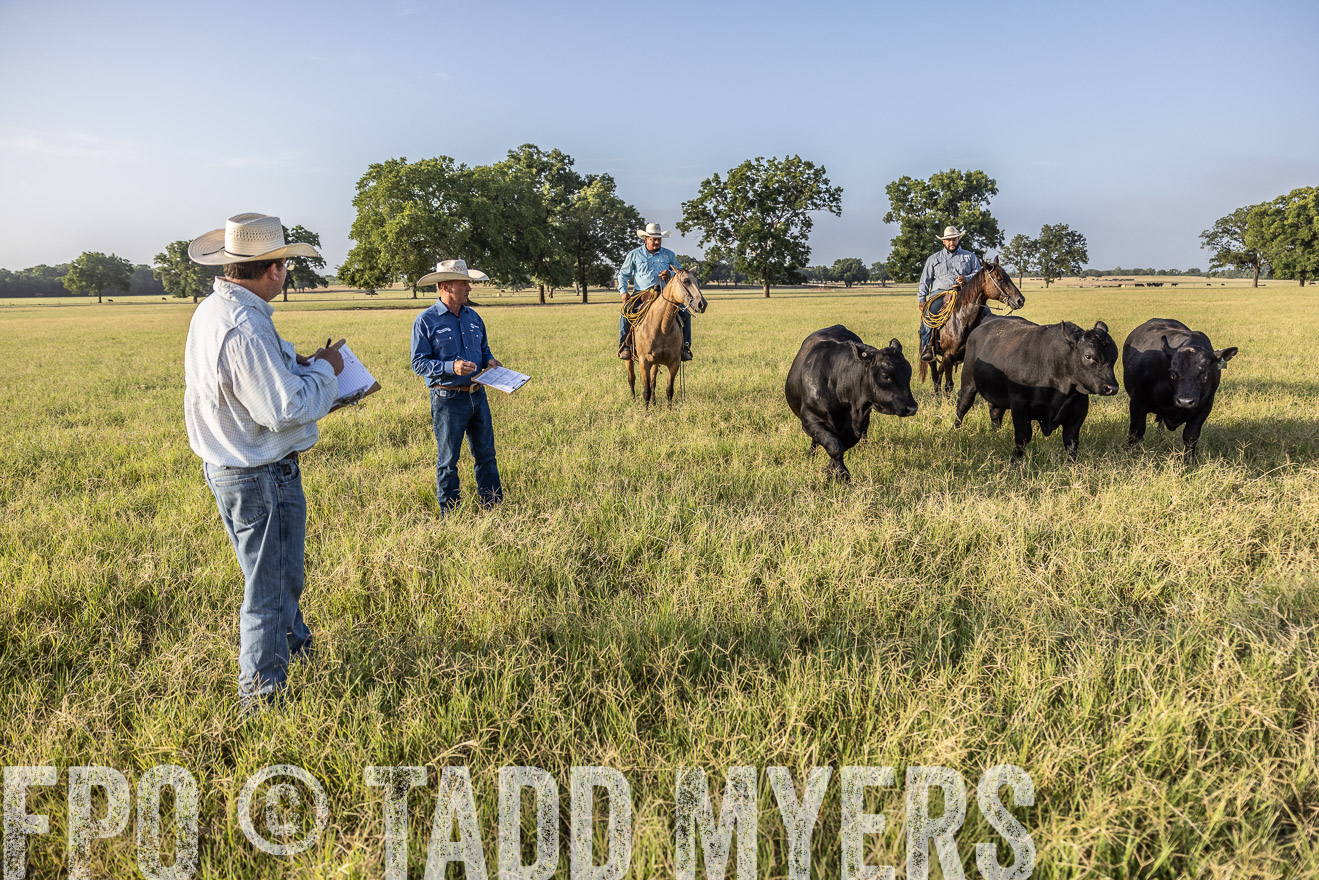TMyers_44Farms_CameronTX_July2022--522902