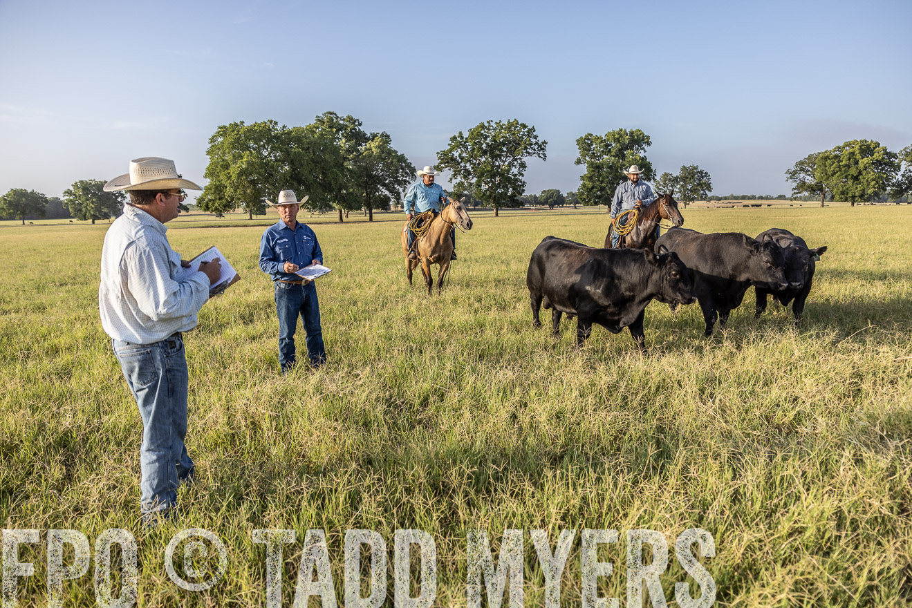TMyers_44Farms_CameronTX_July2022--522904