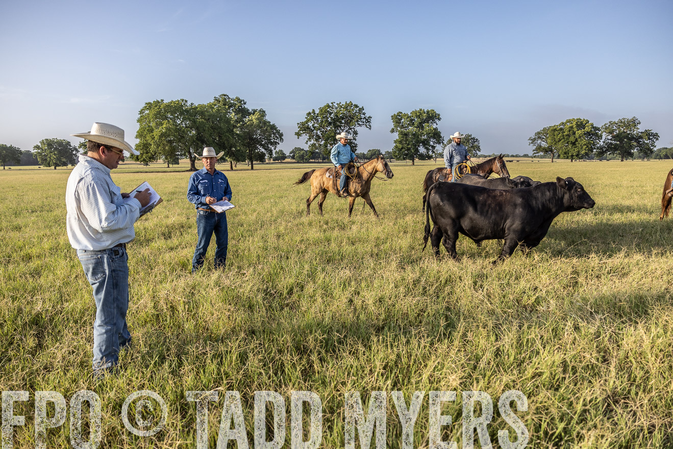 TMyers_44Farms_CameronTX_July2022--522909