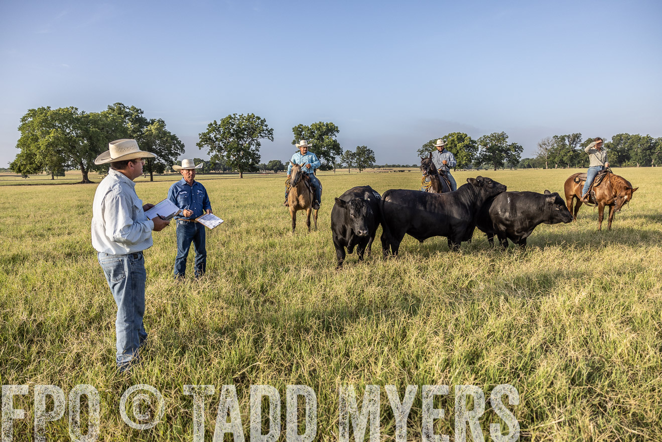 TMyers_44Farms_CameronTX_July2022--522911