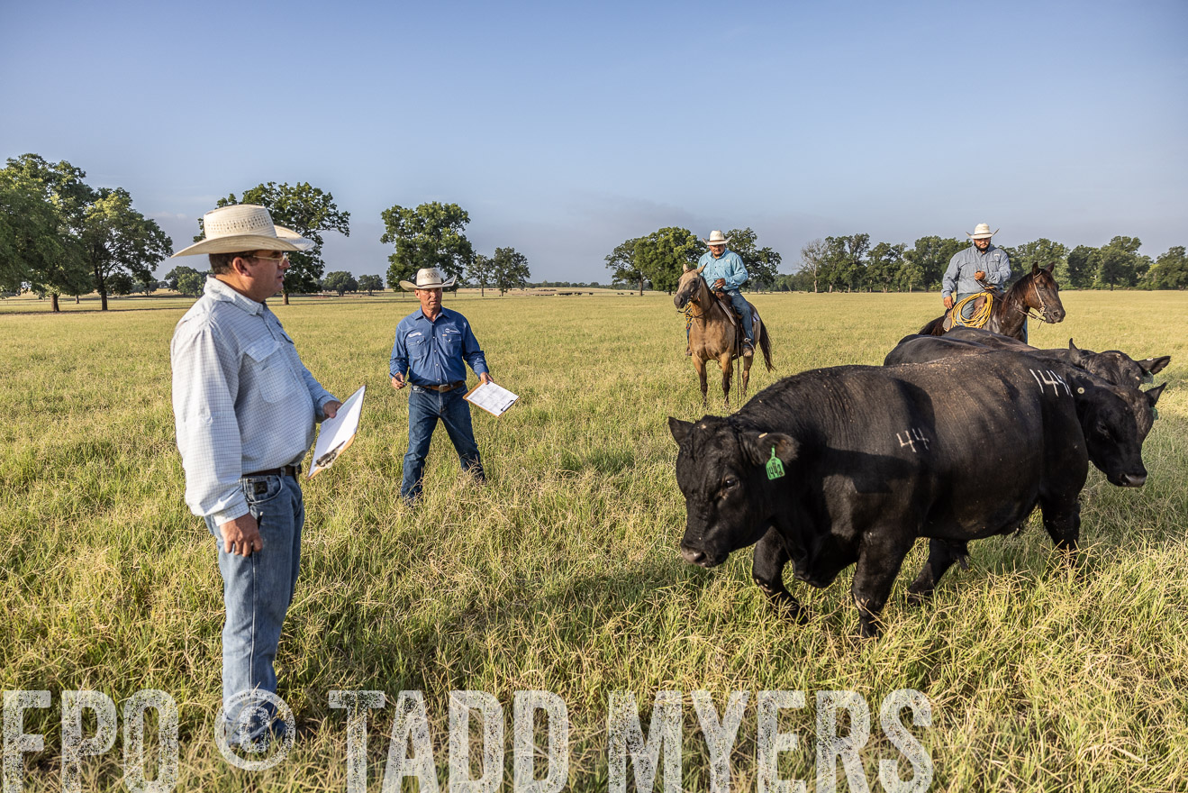 TMyers_44Farms_CameronTX_July2022--522915