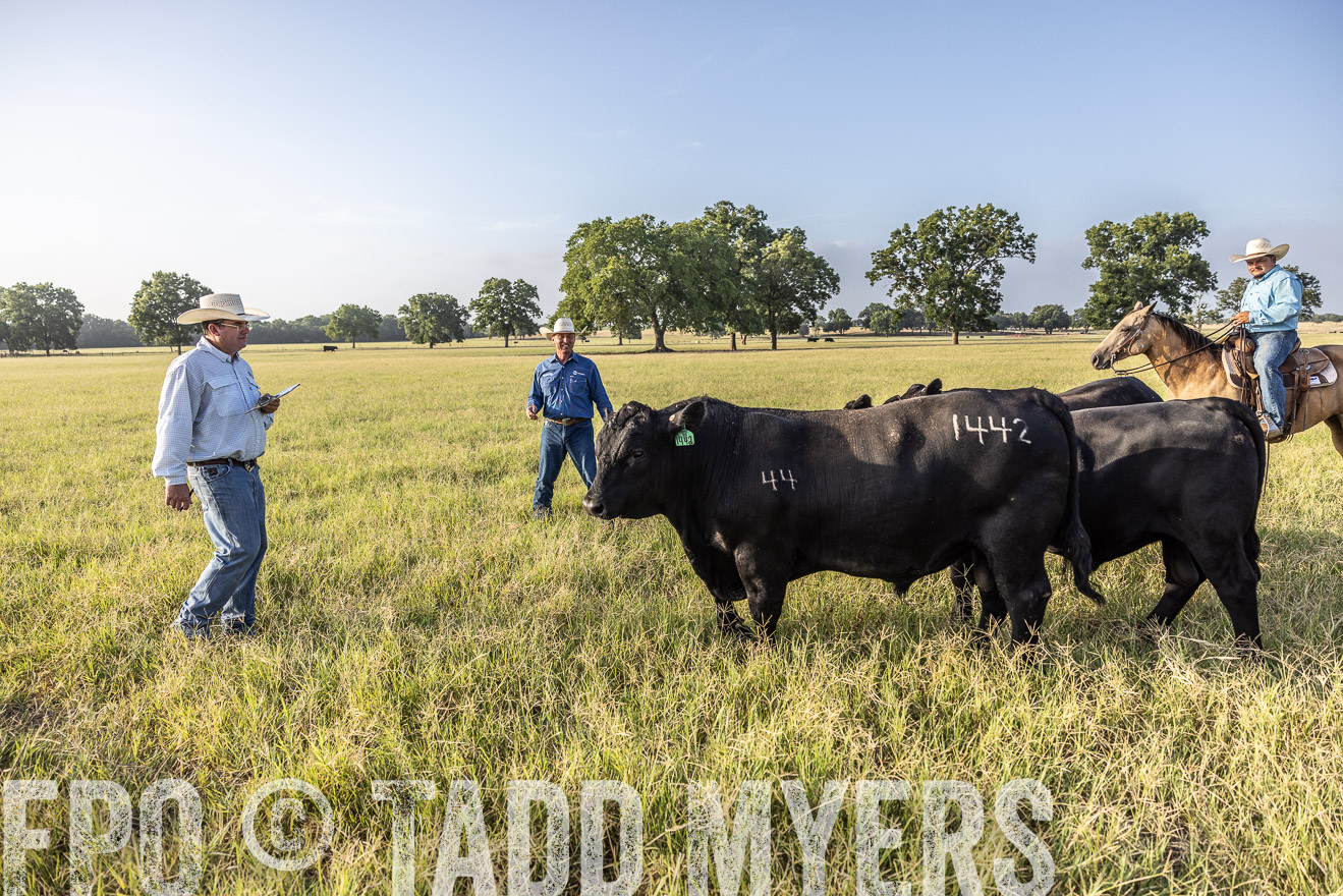 TMyers_44Farms_CameronTX_July2022--522923