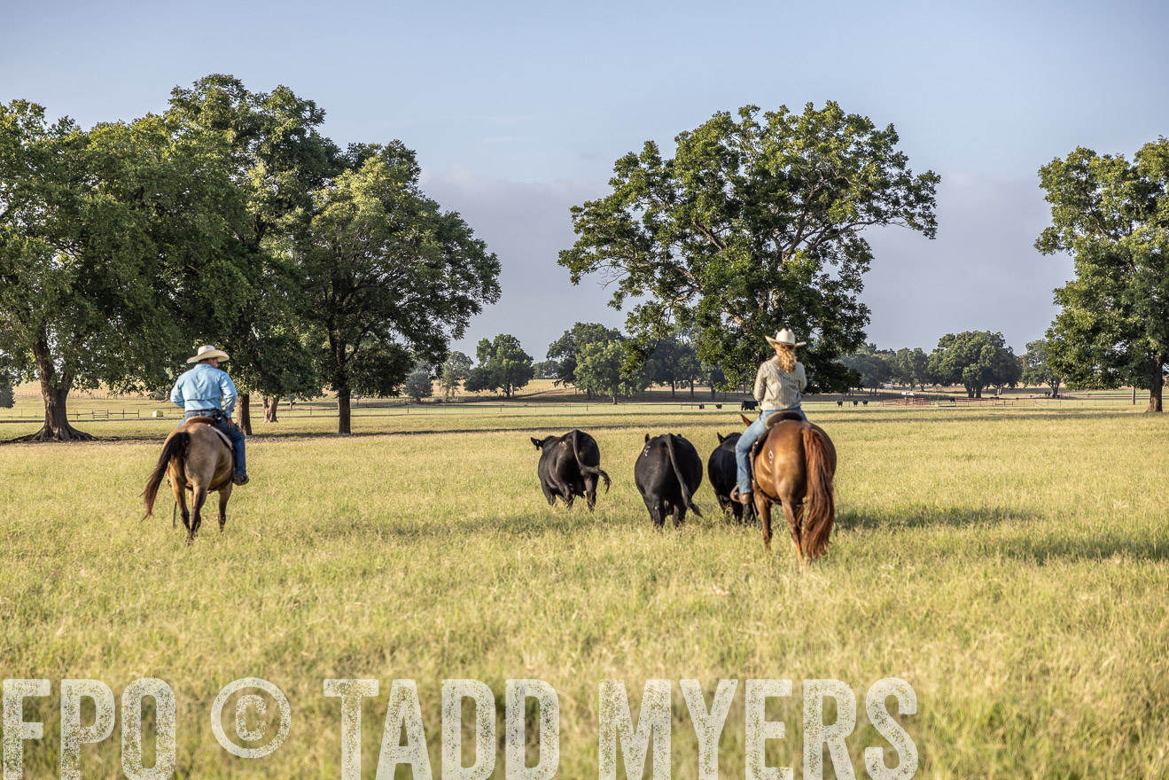 TMyers_44Farms_CameronTX_July2022--522931