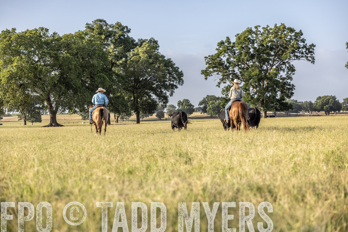 TMyers_44Farms_CameronTX_July2022--522934
