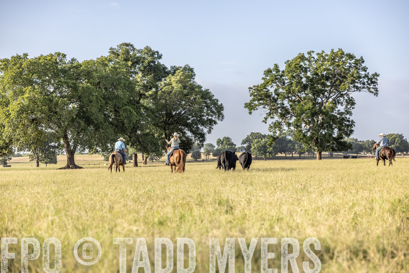 TMyers_44Farms_CameronTX_July2022--522939
