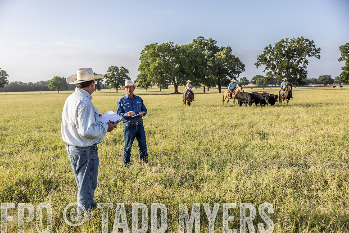 TMyers_44Farms_CameronTX_July2022--522940