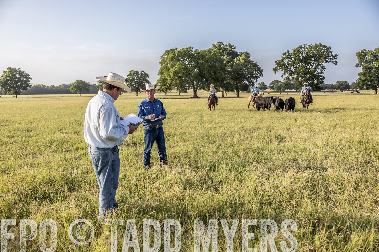 TMyers_44Farms_CameronTX_July2022--522942