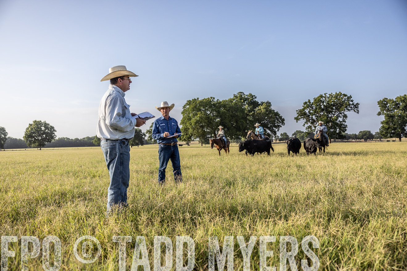 TMyers_44Farms_CameronTX_July2022--522944