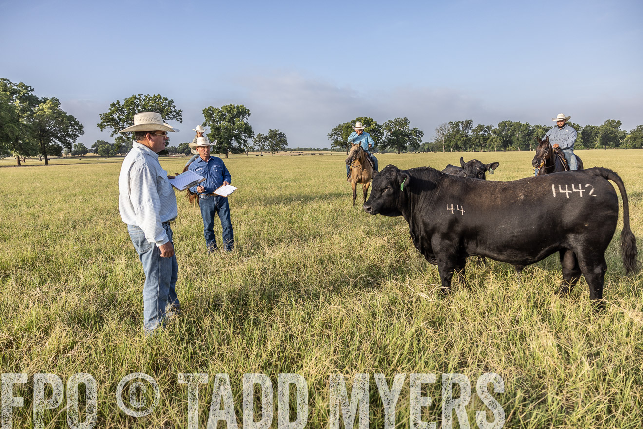 TMyers_44Farms_CameronTX_July2022--522964