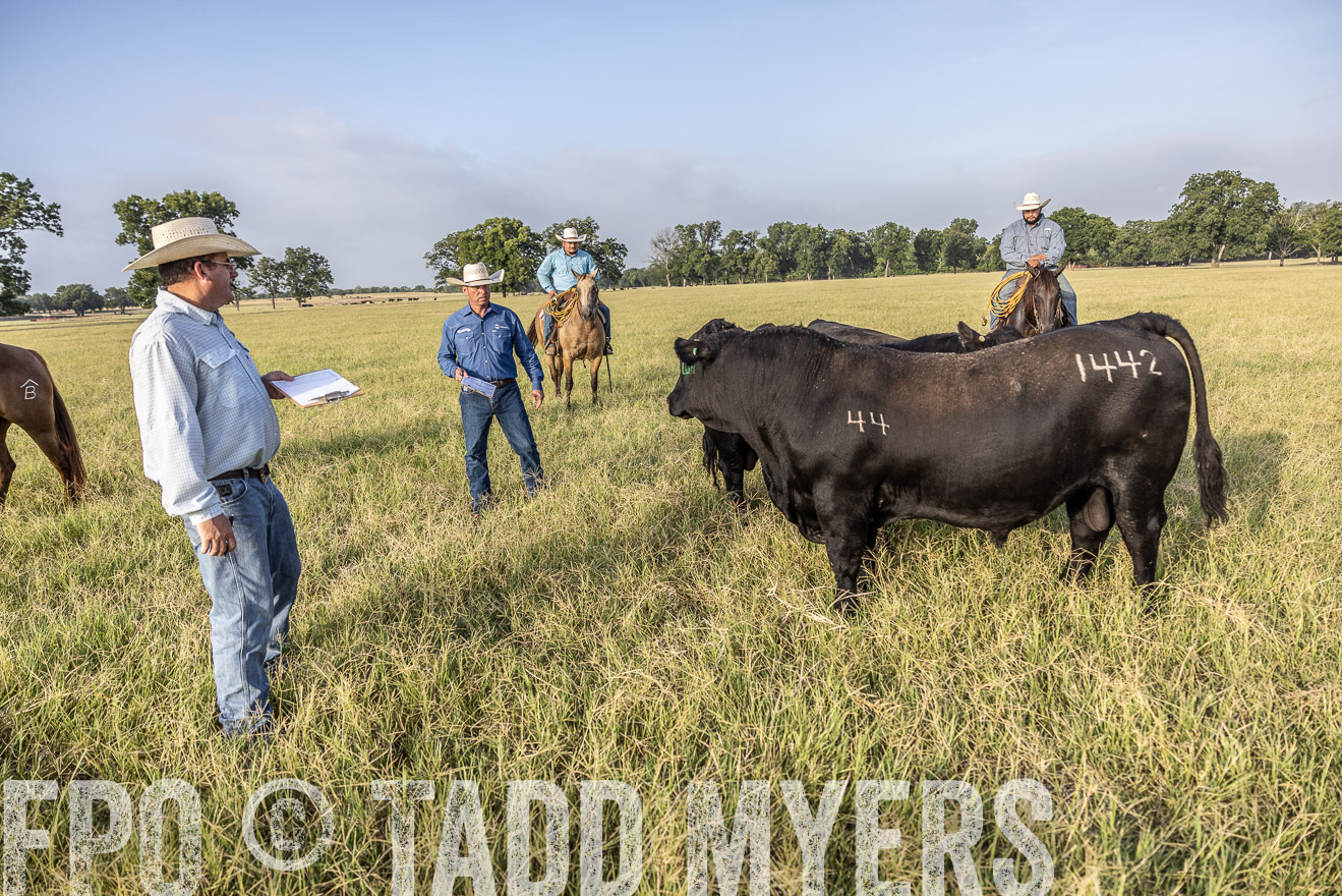 TMyers_44Farms_CameronTX_July2022--522973